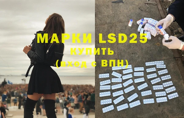 ГАЛЛЮЦИНОГЕННЫЕ ГРИБЫ Баксан