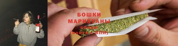 ГАЛЛЮЦИНОГЕННЫЕ ГРИБЫ Баксан