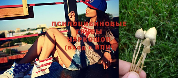 тгк Балахна