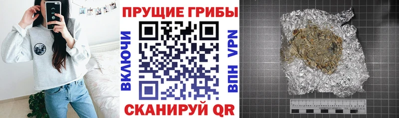 Галлюциногенные грибы Cubensis  Тюкалинск 